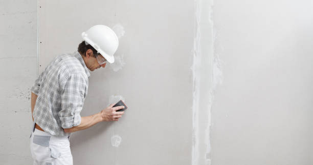 Best Mold Prevention Services  in Angola, NY