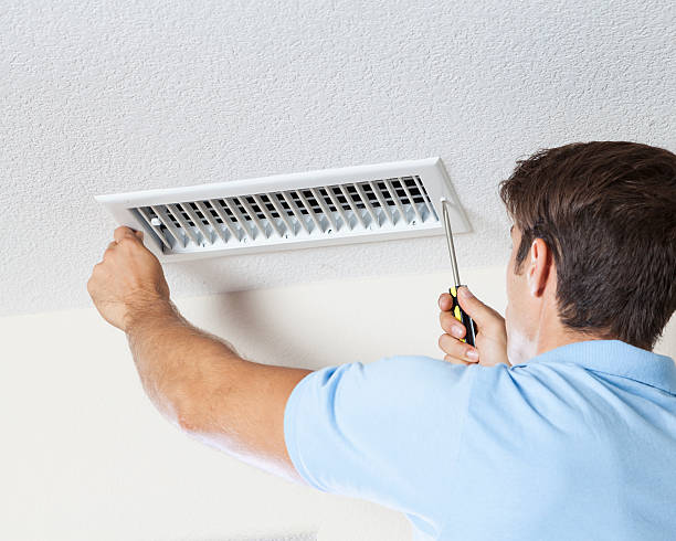 Mold Documentation for Insurance Claims in Angola, NY