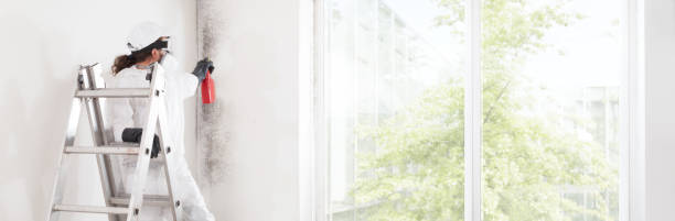 Best Indoor Air Quality Assessment  in Angola, NY