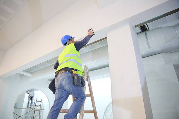 Best Residential Mold Inspection & Testing  in Angola, NY