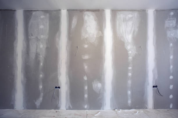 Best Environmental Consulting for Mold Prevention  in Angola, NY